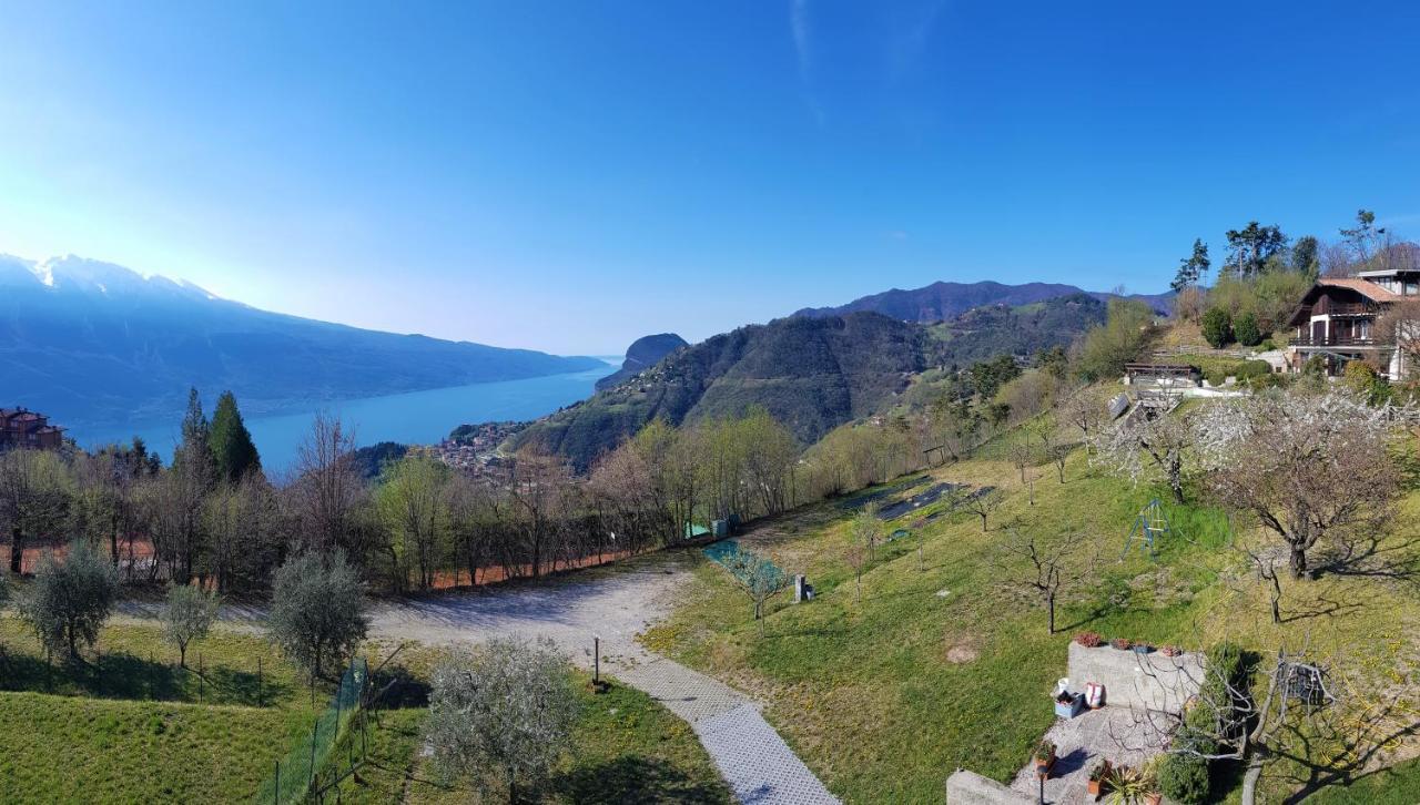 Teresa Campi Apartments Lake View By Gardadomusmea Tremosine Dış mekan fotoğraf