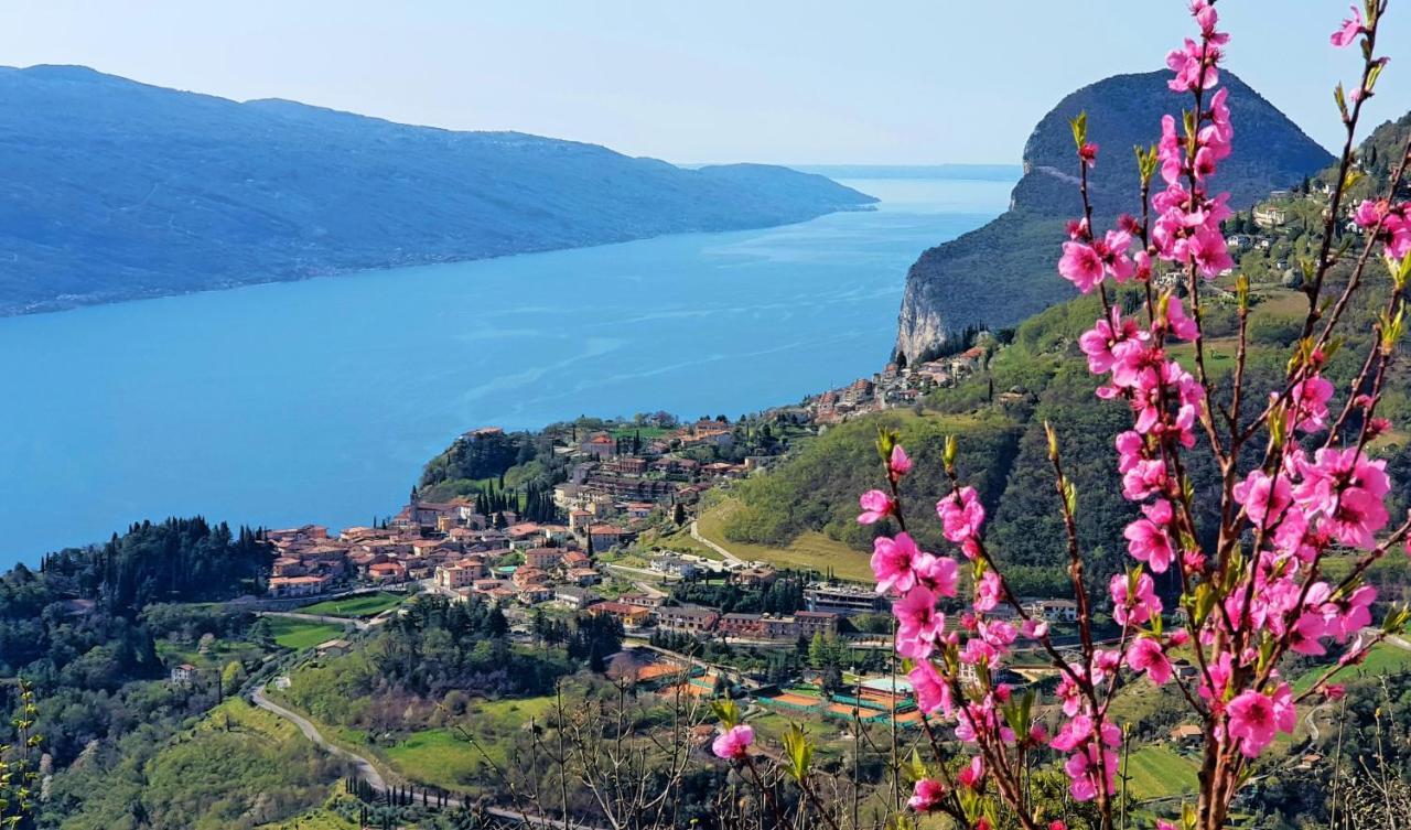 Teresa Campi Apartments Lake View By Gardadomusmea Tremosine Dış mekan fotoğraf
